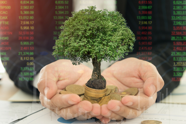 Fiere Investimentos Fiere Investimentos