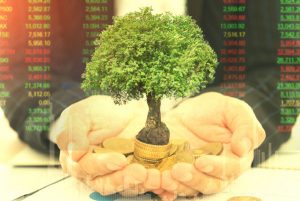 Fiere Investimentos